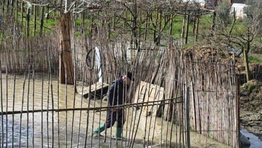 Shkarkimet nga HEC-i Banjës, përmbyten për herë të 3-të fermerët e Petovës dhe Mbrostarit në Fier
