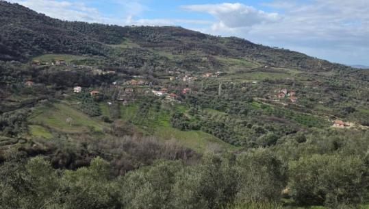 Edison Ypi: Humba në Vlosh