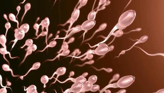 Nuk rriten vetëm temperaturat! Studimi: Cilësia e spermës është më e lartë në verë sesa në dimër