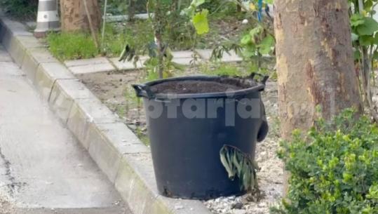 Kova me lëndë kimike ngre në këmbë policinë e Vlorës, ambientalisti: Duhet të largohet sa më shpejt, mund të shpërthejë