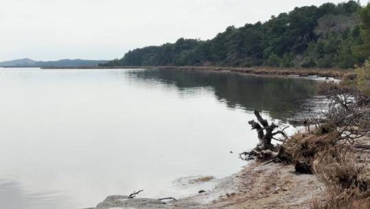 Vlorë/ Narta e mbrojtur në ‘letër’, s’ndalet gjuetia e shpendëve