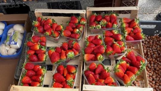 ‘Luleshtrydhet i mori lumi!’ Rënia e prodhimit me 300 ton reflektohet në treg! Çmimi rritet 100 lekë për kilogram