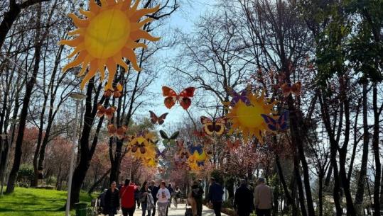 Sot Dita e Verës/ Ballokume, verore dhe festime në çdo qytet të Shqipërisë, Elbasani mbetet ‘shpirti’ i festës