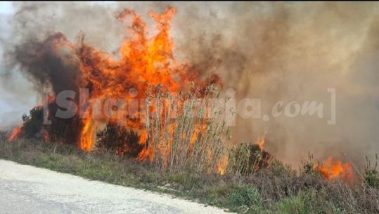 Zjarr në kodrat e Sherishtës në Vlorë, flakët përhapen drejt ullishteve