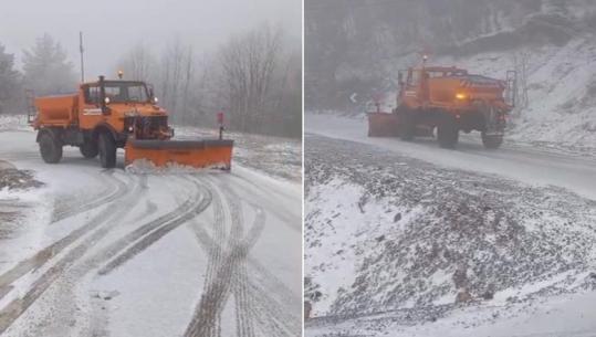 Dimri s’do të ikë, pranvera në Dardhë vjen me reshje dëbore