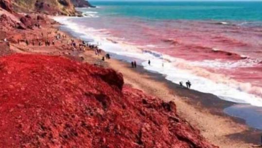 Irani paralajmëron: Nëse SHBA-të pushtojnë ishullin Kharg, do të ndalojmë qarkullimin e anijeve në Detin e Kuq