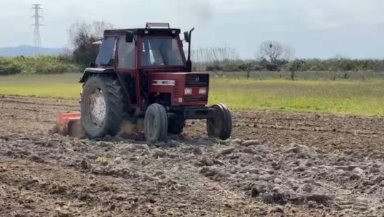 Nafta, fermerët e vegjël në kolaps: S’ia vlen më të prodhojmë! Është rritur çmimi i plugimit dhe frezimit të tokës