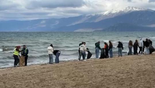 Pogradec/ Bashkia aksion pastrimi në qytet dhe përgjatë bregut të liqenit