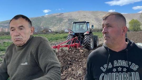 ‘Me çfarë t’i punojmë tokat? A blihet nafta me 214 lek/litri për t’ia hedh traktorit’, fermerët e Zadrimës: Do detyrohemi t’i lëmë djerrë