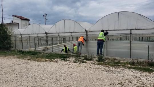 Tension në Dimal, IMT ndërhyn për prishjen e serës, fermeri: Po më falimentoni