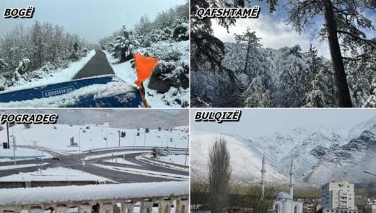 Dimër në pranverë, Gjinari dhe Fushë-Studën zbardhen nga dëbora! Nën ‘petkun’ e saj Korça e Dibra, vështirësohet qarkullimi në disa zona
