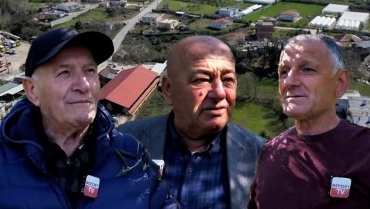 Veri-Jug/ Tradita e Zall Herrit, 100 mijë rrënjë ullinj dhe mjeshtëria e krasitjes dhe shartimeve