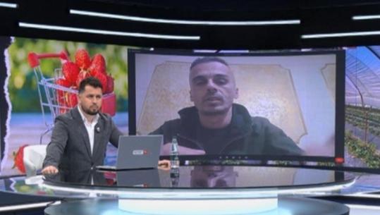 ‘Po s’vuri dorë shteti, falimentuam!’ Fermeri i luleshtrydheve për Report Tv: S’ka ardhur askush, sikur nuk ekzistojmë!