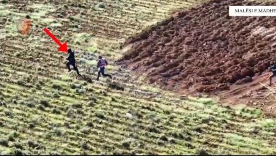 Kishin mbjellë filiza kanabisi, arrestohen tre anëtarët e një familjeje në Malësi të Madhe! Shpallet në kërkim 52-vjeçari