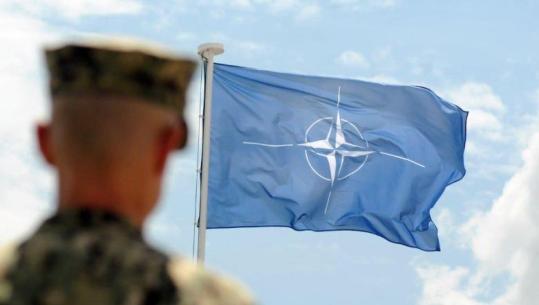 17 vite në NATO, Nufi: Shqipëria aleate e besueshme dhe faktor stabiliteti në rajon