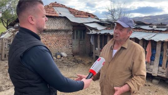 Përrenjas/ Blegtori që ka 60 krerë lopë e viça tregon vështirësitë që has: Kostoja është rritur prej naftës, tregu s’është i sigurt