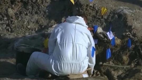 Komisioni në Hagë po trajton 15 mostra, dyshohet se u përkasin të zhdukurve gjatë luftës në Kosovë