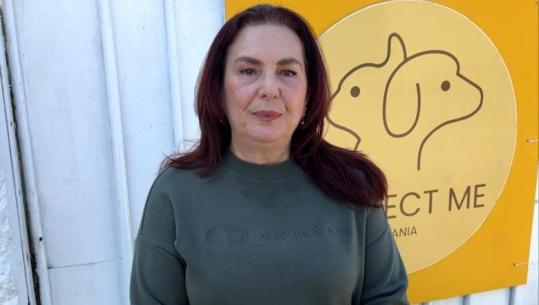 Qeni pitbull sulmoi 4-vjeçaren, animalistja: Po luanin dhe ajo i mori topin! Duhet të kishte maskë, bashkia t’i sterilizojë