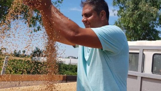 Historia e 50-vjeçarit rom: E vuajti diskriminimin në lëkurë, përfundoi juridikun të mësojë të drejtat e tij...Sot fermer i zoti! Zv/ministrja: T’i punësojmë, s’kemi pse marrim të huaj