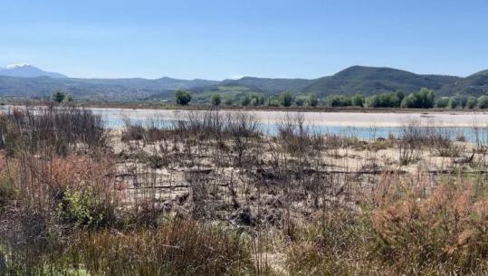 'Albpetrol' shkakton katastrofë mjedisore në Parkun Kombëtar të Vjosës, ndërhyn pas 5 ditësh për riparimin e puseve, banorët: Dëmi tashmë është bërë në bujqësi