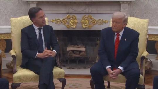 'Trump ofendoi Rutte', dalin sekretet nga takimi me dyer të mbyllura në SHBA