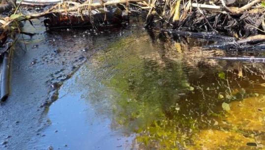 Katastrofa mjedisore në Parkun Kombëtar të Vjosës, nën hetim 4 punonjësit e ‘Albpetrol’, nuk riparuan tubin e nxjerrjes së naftës