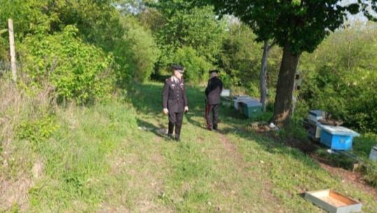 Tragjedi në Itali/ Shqiptari vret me kosore ish-bashkëshorten dhe partnerin e saj: Më ke shkatërruar jetën