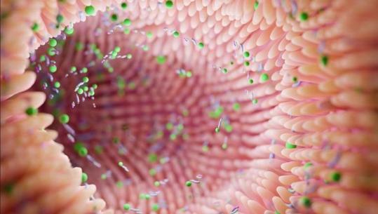 Studimi: Mikrobioma e zorrëve mund të zbulojë rrezikun e Parkinsonit përpara shfaqjes së simptomave