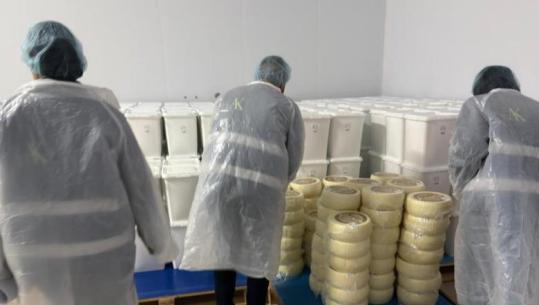Siguria ushqimore/ AKU inspekton 2 subjekte të përpunimit të qumështit dhe mishit të pulës në Korçë, procesi mbikëqyret nga Inspektoriati i Përgjithshëm