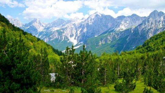 Bashkimi Europian, Italia dhe UNDP investojnë 16 mln € për pyjet, Gonzato: Shqipëria të afrohet me standardet mjedisore të BE-së