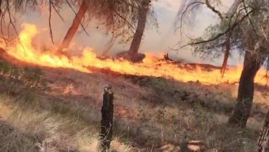 Stina e zjarreve, Haki Çako: Do të shtojmë flotën e mjeteve ajrore, por nuk mjafton! Nevojiten korridore e akses për hidrantë