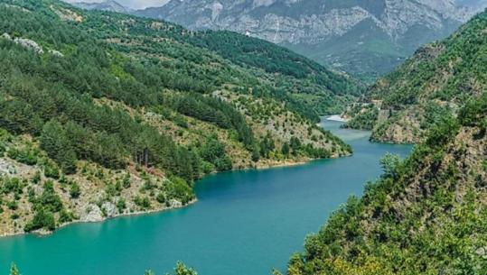 Reuters: Lumi Drin shpëton Shqipërinë nga kriza globale