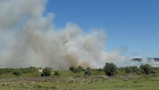 Zjarri përfshin ullishtet në Panaja, flakët përhapen me shpejtësi nga era