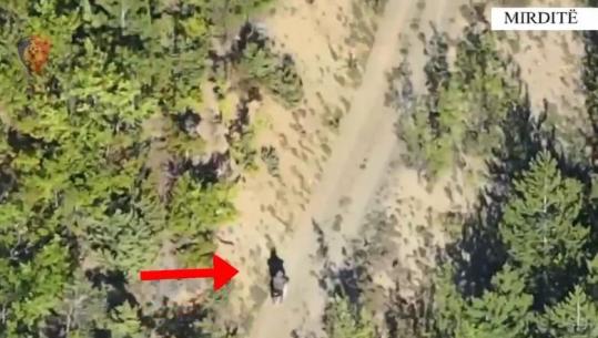 Mirditë/ Kishte kultivuar kanabis në fshatin Dardhëz, droni kap ‘mat’ 27-vjeçarin!