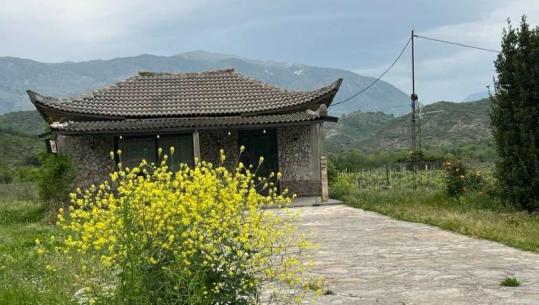 Auron Tare: Paketa e Maleve