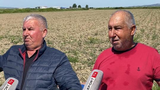 Kanali i bllokuar, në Lushnjë 800 ha tokë mbeten pa vaditje