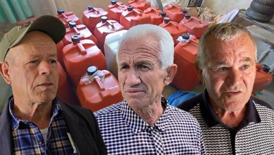 Vaji i ullirit stok në Mallakastër, fermerët kërkojnë markim për t’i hapur rrugën eksportit