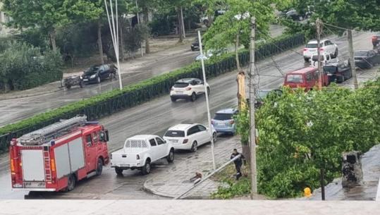 Shkulme të forta ere në Vlorë, pema rrëzohet dhe bllokon qarkullimin