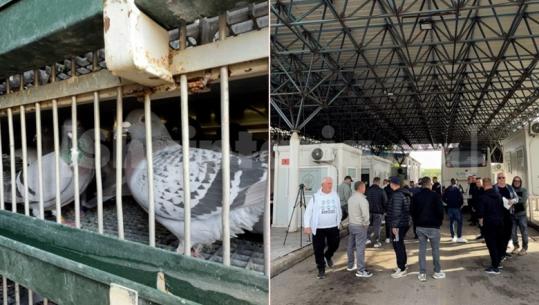 Anëtarët e shoqatës ‘Pëllumbat e postës’ protestë në pikën kufitare të Qafë-Thanës: Shpenzojmë shumë para për stërvitjen e tyre