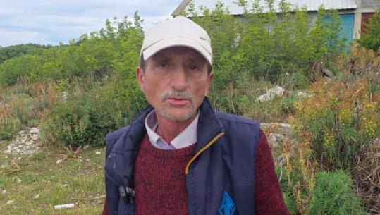 Rikthehet murtaja e bagëtive në Shkodër, groposen rreth 20 krerë dele! Karantinohet një fshat në Dajç