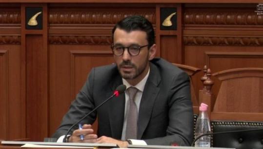 Ylli Pata; Arsyet e ankthit të deputetëve të PD-së për 'Portën e Alpeve'