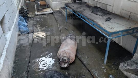 Zjarri në magazinën në Durrës që i mori jetën 25-vjeçarit nga Bangladeshi, shkëndija elektrike ndezi bombolën e gazit! Punonjësit ishin në gjumë