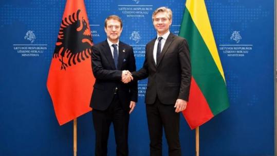 Hoxha në Lituani, ministri Budry: Shqipëria një shembull e si funksionon një proces zgjerimi i BE i bazuar te merita dhe rezultatet konkrete 