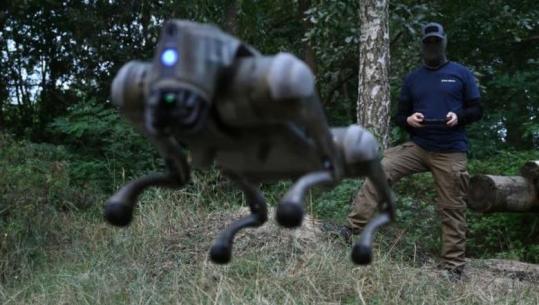 Vatikani kundër 'robotëve vrasës': Papa Leone XIV paralajmëron për rrezikun e Inteligjencës Artificiale në luftë