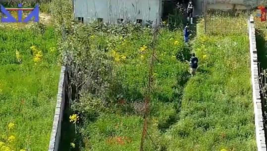 Operacioni i SPAK dhe antimafias së Barit, pamjet e operacionit kur goditen në Itali anëtarët e grupit kriminal (VIDEO)