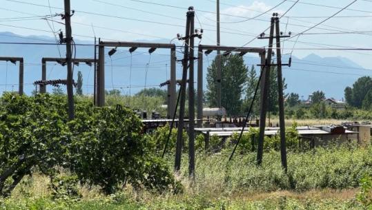 Lezhë/ Telat elektrikë kërcënim për jetën në rrugën Rrilë-Tale! OSHEE: Linja u ndërtua privatisht, do e rregullojmë