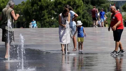 Temperaturat deri në 33 gradë celcius, IGJEO: Rrezik  të shtuar për zjarre në qarqet Lezhë, Durrës dhe Fier