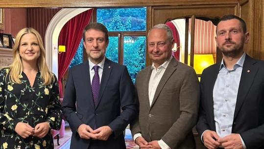 Hoxha diskuton për zgjerimin me eurodeputetët me origjinë shqiptare dhe raportuesin për Shqipërinë në Parlamentin Europian: Duhet ruajtur momentumi aktual
