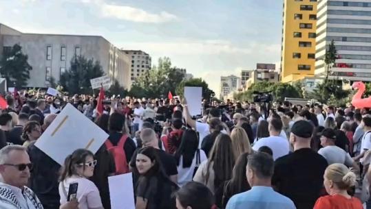 Protestë në Tiranë kundër resortit në Zvërnec! Rama thirrje për bashkëbisedim: Mblidhuni 20 vetë, të flasim! Protestuesit: S’ka dialog