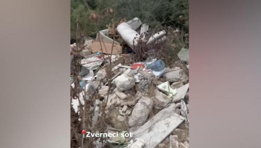 Protestat për Zvërnecin/ Rama publikon videon nga zona e mbushur me mbeturina: Tokë e ndotur dhe e paprekur nga tradhtia ime, por do e kthej në syrin e turizmit